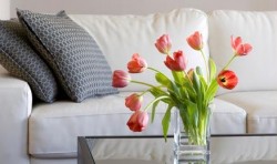 Natural DIY Upholstery Cleaner